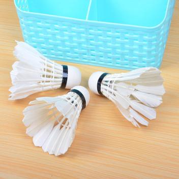 品战甲鹅毛羽毛球超级耐打量大飞行稳定一筒12个羽毛球(白色)