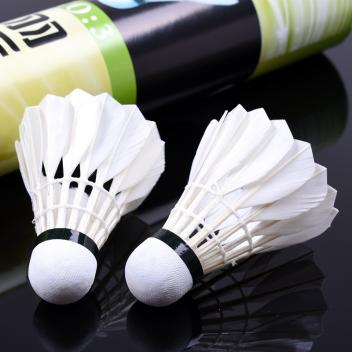 鹅毛中方羽毛球 新手娱乐/训练专用球飞行稳定耐打型羽毛球(白色)